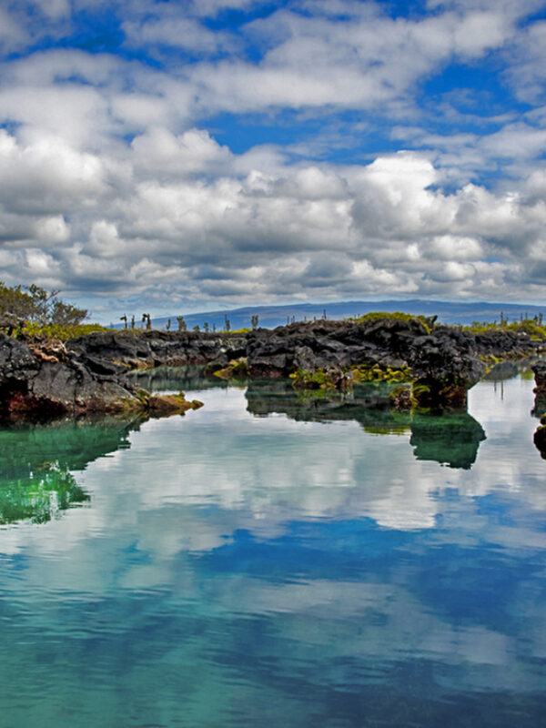 Galapagos - Isabela