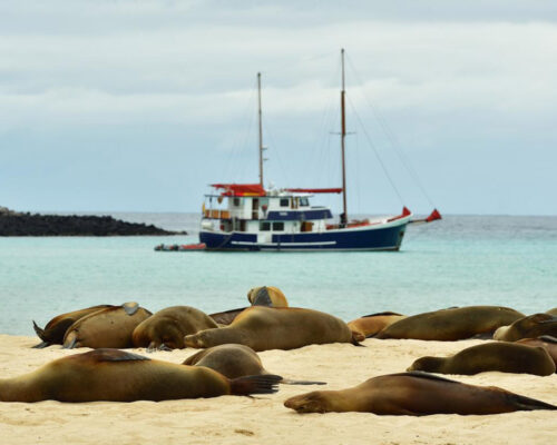 Galapagos Yacht