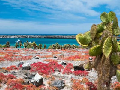 south-plaza-island-galapagos