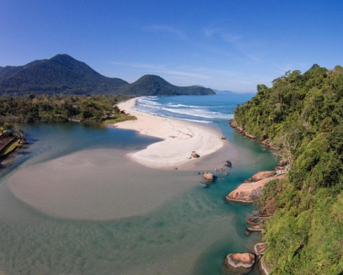 Atlantic Forest beach